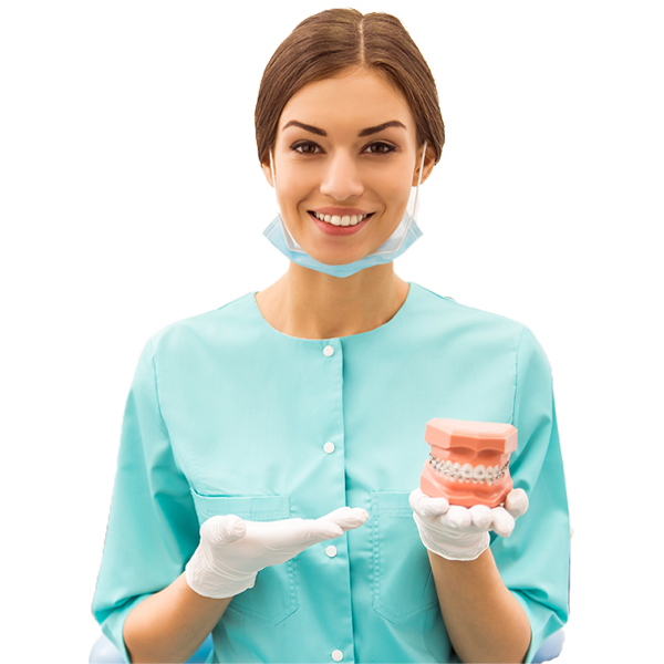 dentist holding a mouth model on the hand